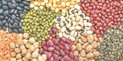The easiest way to buy Dal Geda Gudi in bulk